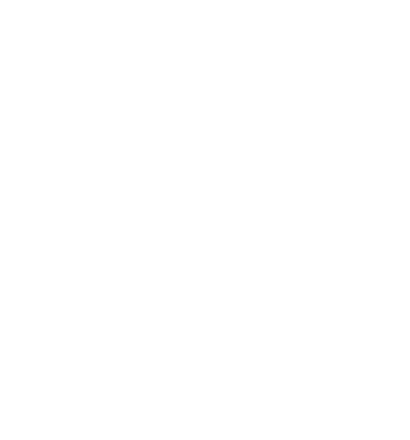 Logo CRISE bianco